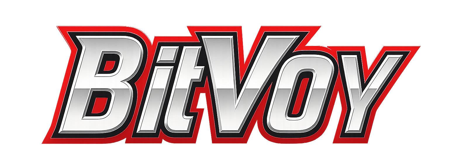 BitVoy.Net
